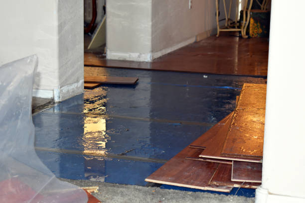 Professional Water Damage technician working in Port Aransas, TX